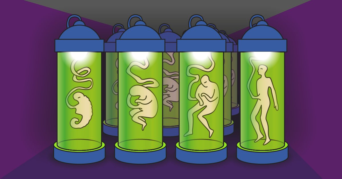 Фото: Вибори на 87 окрузі: клони відтягнули півтисячі голосів