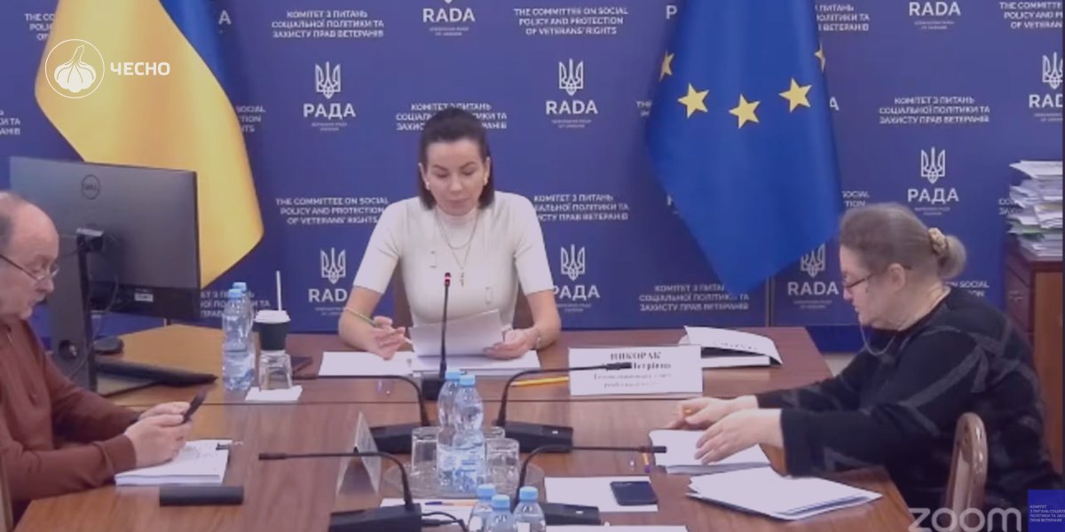 Фото: Робоча група планує пакетом відхилити понад тисячу правок Железняка до ветеранського законопроєкту