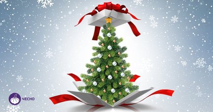 Свято з мінімальним бюджетом: скільки грошей витратили українські міста на різдвяно-новорічні свята